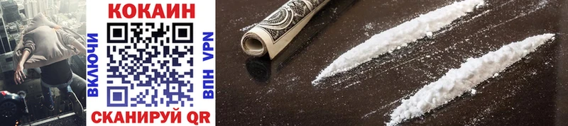 Купить закладки  Злынка  COCAIN 97% 