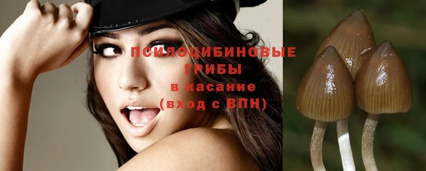 амф Наволоки